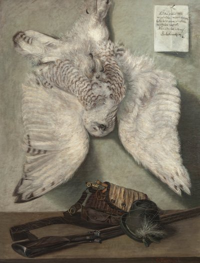 Snowy Owl by Karel Purkyne